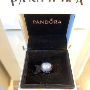 DISCONTINUED Pandora charm